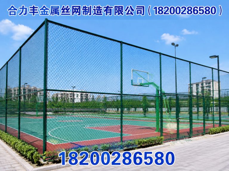 邛崃市球场围网展示图